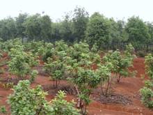 ��ҳ- �ط��������޹�˾�ٷ���վ