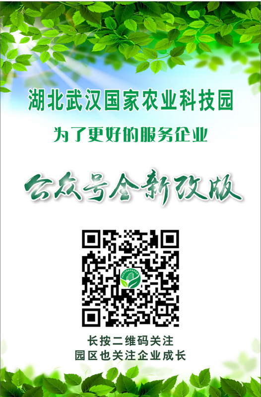 ��ҳ- �ط��������޹�˾�ٷ���վ